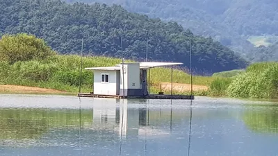 청풍 한버들 낚시터 4짜포함 허릿급 조황입니다