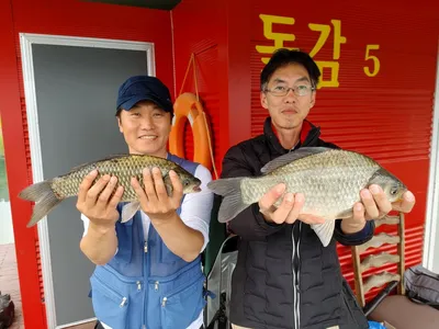 돌감낚시터 붕어조황입니다.