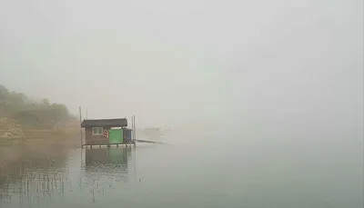 새벽 안개속에 케미라이트...