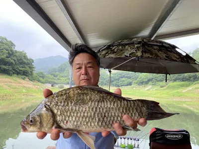 돌감낚시터 4짜 및 붕어조황입니다.