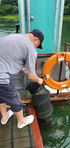 신매낚시터 7월 30일조황 