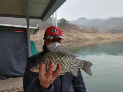 돌감낚시터 붕어조황입니다.