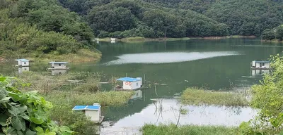 실리곡낚시터  조황입니다.