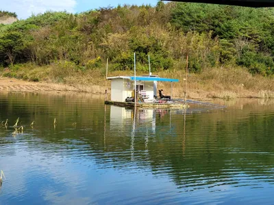 실리곡낚시터 허리급  조황입니다.