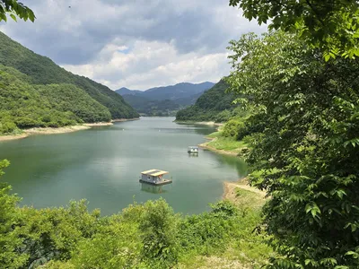 청풍실리곡낚시터 42cm 조황입니다.