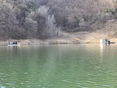 청풍 실리곡낚시터 42cm입니다.