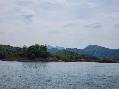 청풍 한버들 4짜 조황입니다