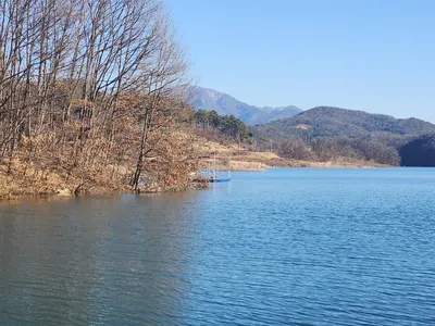 청풍 한버들 허리급및 월척들 호조황입니다