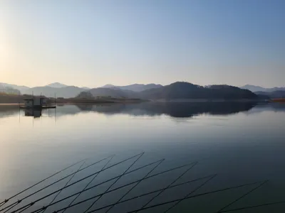 청풍 한버들 조황입니다