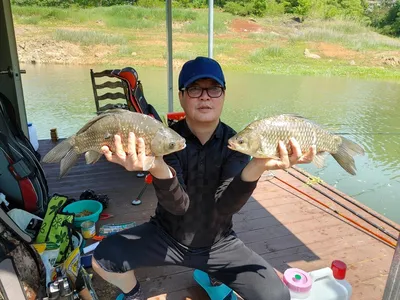 돌감낚시터 붕어조황입니다.