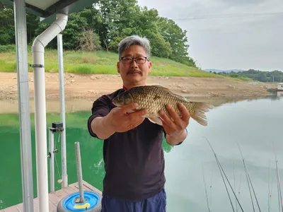 돌감낚시터 붕어조황입니다.