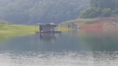 한버들 조황입니다