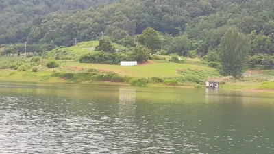 청풍 한버들 낚시터 4짜포함 허릿급 조황입니다