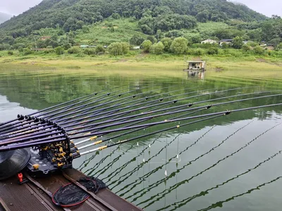 용곡 김기호 낚시터 조황정보 입니다