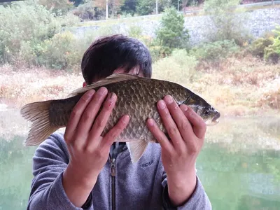 솔낚시터 4짜 조황소식 알려드립니다.