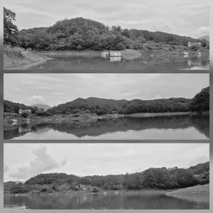 청풍신리낚시터 조황입니다