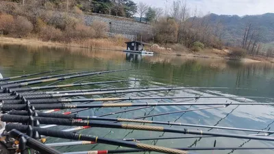 솔낚시터 연속 사짜~ 조황소식입니다!