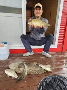 돌감낚시터 붕어조황입니다.