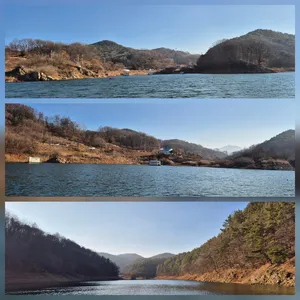 청풍신리낚시터 조황입니다