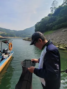 충주호목벌낚시터소식