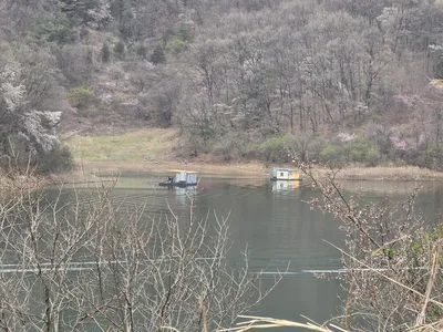 청풍실리곡낚시터 4짜외 허리급 조황입니다.