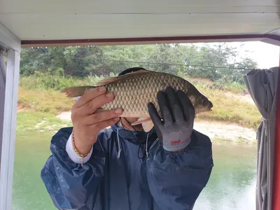 솔낚시터 조황소식 입니다.