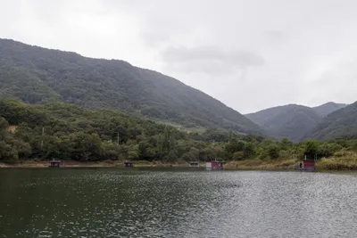 솔낚시터 조황소식 입니다.