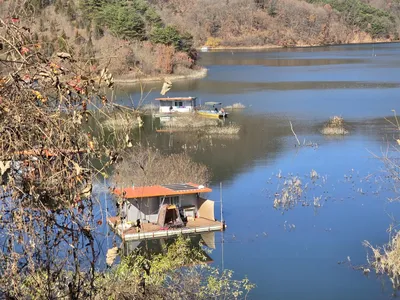 청풍실리곡낚시터 4짜 조황입니다.