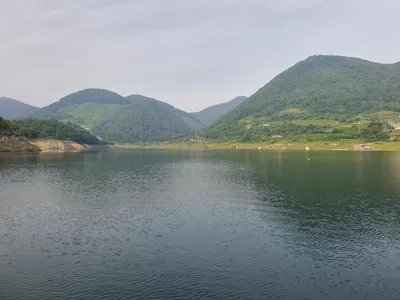  대물과 함께 하는곳 용곡 김기호 낚시터 조황정보 입니다