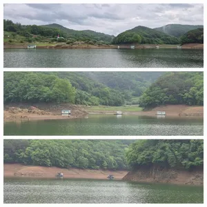 청풍신리낚시터 주말조황 입니다