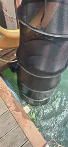 신매낚시터 8월 26일 조황