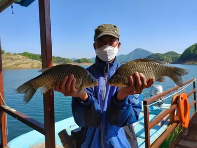 돌감낚시터 조황입니다.