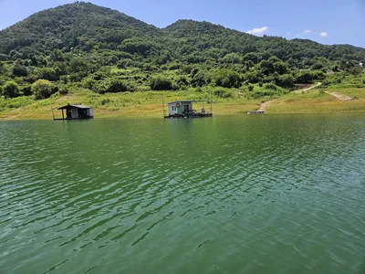 용곡 김기호 낚시터 사짜조황 정보입니다