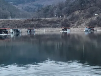 청풍 실리곡낚시터 41.5cm입니다.