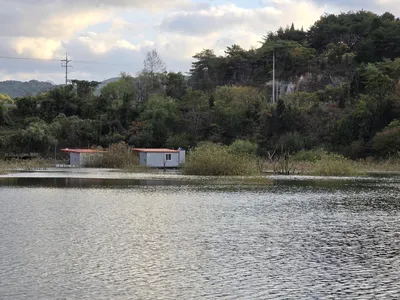 청풍실리곡낚시터 허리급 조황입니다.