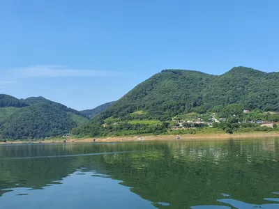 용곡 김기호 낚시터 조황정보 입니다