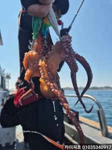 10일 포항 주간 돌문어! 오늘도 전원히트!