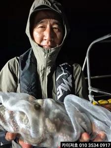 오늘 부터 돌문어 야간 정상 출항 월요일 여유자리