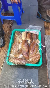 제주에이스호!!(18일)갑순이갑돌이조황입니다.문의 010 3548 3472 ~010 3860 3472{9.77톤22인승14석운영합니다~}