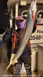 제주에이스호!!(10월12일)제주갈치조황입니다010 35483472~010 3860 3472{9.77톤22인승12석운)전좌석봉돌투등기장착 청결은보장