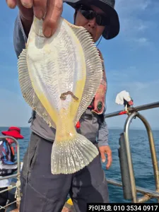 7일)오전 씨알 마릿수 묵직 !! 일오전여유자리