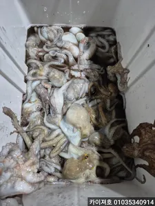 1일 오후 레전드의날 역대급 초대박~!!