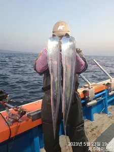 제주에이스호!(23일)씨알굵은대갈치 쿨러가득조황 입니다~ 전좌석봉돌투승기장착(12석운영)