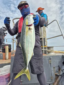 2일) 대삼치 대방어 히트~!