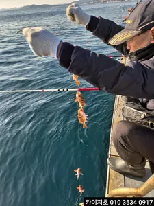 1일)볼락열기 쿨러 무거워요~!!