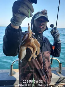 대타작 쭈꾸미 왕도다리 이시가리 참가자미