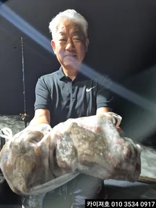 20일 야간 돌문어 조황 입니다