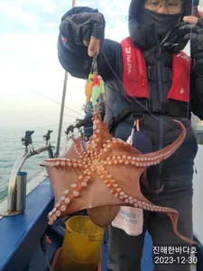 [진해문어낚시] 묵직하게 올라오는 굵직굵직 돌문어 찐한 손맛보시며 즐기고왔습니다^0^