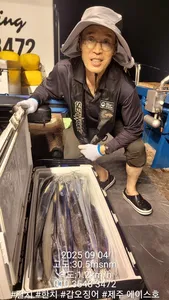 제주에이스호!!(9월3일)제주갈치조황입니다010 35483472~010 3860 3472{9.77톤22인승12석운)전좌석봉돌투등기장착 청결은보장