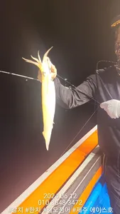 제주에이스호!!(12일)한치조황입니다 문의010 3548 3472~010 3860 3472